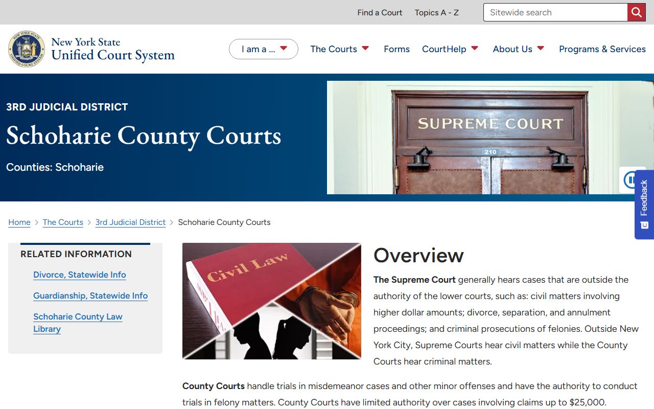 Schoharie County court records after arrest official courts page
